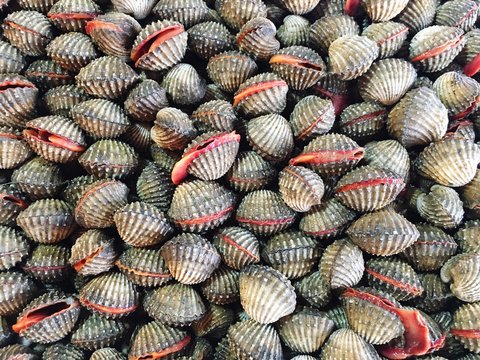 Cockles For Sale At Fish Market
