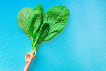 spinach petals, fresh green vegetables grass microgreen Menu concept, food background, keto or...