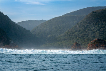 View from the ocean into the coastal forest of the garden route, south africa