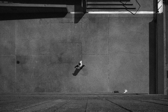 Directly Above Shot Of Man Walking On Street