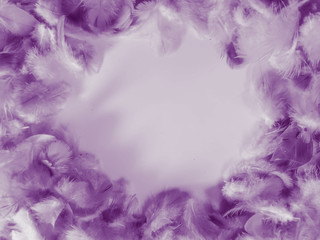 Beautiful abstract white and purple feathers on white background and soft white feather texture on white pattern and purple background, feather pink background , purple banners