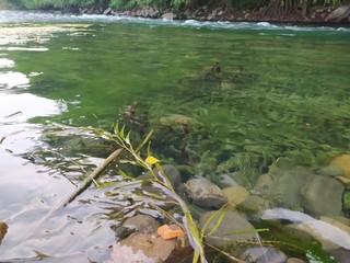Water, the essential element on the earth.