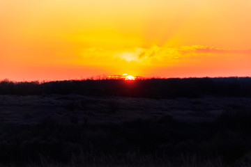 Orange sunset over meadow at spring