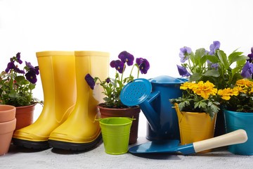 Gardening tools, flowers and watering can on white. Spring garden works concept.