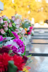 Bouqets of flowers laying on gravestones as decoration. Placed in rememberance of lost loved ones