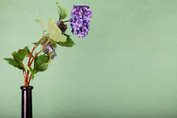 artificial flower in bottle on olive background