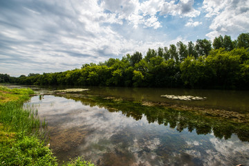 a quiet river pool where yellow water lilies grow