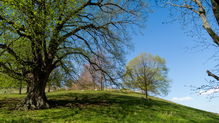 Frühling an der Schwäbischen Alb