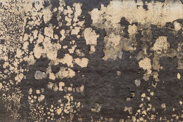 Black dry dirt on cement wall, abstract background, outdoor day light