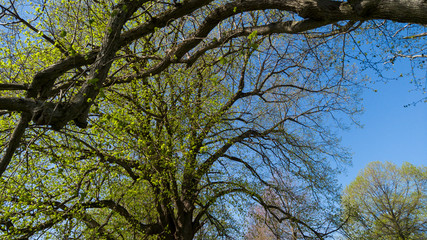 Frühling an der Schwäbischen Alb