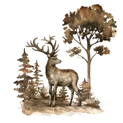  Watercolor brown deer and field landscape. Realistic hand-painted herbivorous wild animal isolated on white background. Vintage elk illustration. © Kate K.