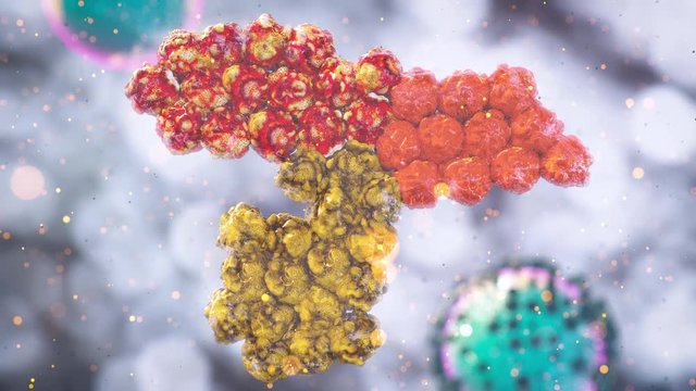 antibody SARS COV-2 immune response, immunotherapy concept with immunoglobulins, antiviral response antibody covid-19