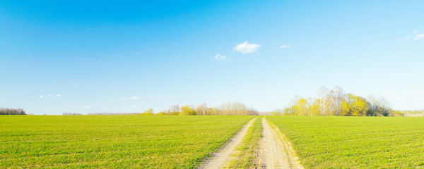 Spring landscape. Rural road in a green field against a blue sky with clouds