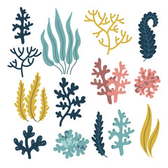 cute plants and coral, underwater world elements set, sea of ​​ocean, vector illustration hand drawing