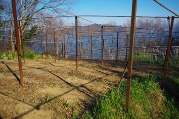 Fototapete bei efototapeten.de bestellen   