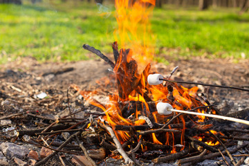 Camping bonfire, frying marshmallows at the stake