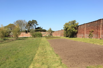 cultivated plot and green grassy meadows with flowering fruit trees in an organic wildlife friendly walled garden in springtime