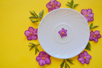 White empty plate on a yellow with purple flowers.Gourmet concept .Elegant spring (summer) background. Beautiful composition. Flat lay. Copy space. Top view 