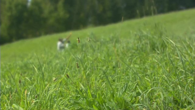 Father, child and the kite