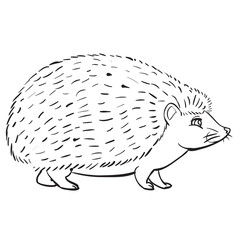 hedgehog, wild animal, outline drawing, coloring, isolated object on a white background, vector illustration,