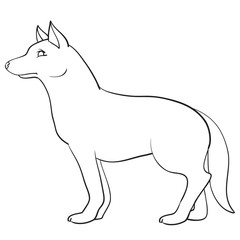 wolf, wild animal, stands sideways on four paws, outline drawing, coloring, isolated object on a white background, vector illustration,