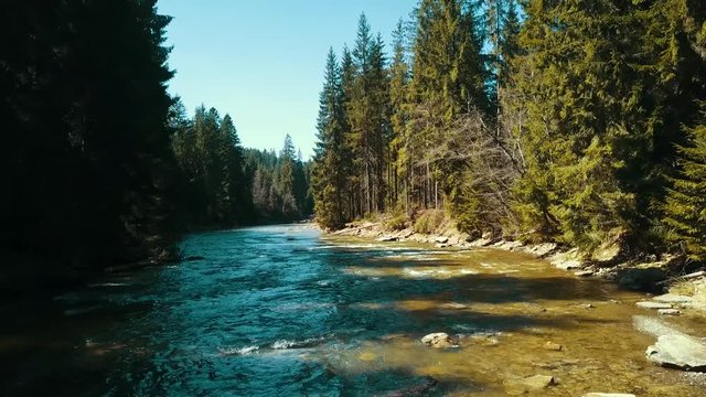 Mountain pine river flight over drone river soars above mountain water