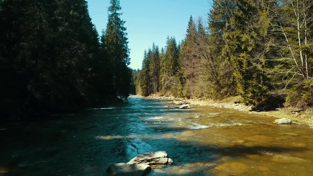 Mountain pine river flight over drone river soars above mountain water