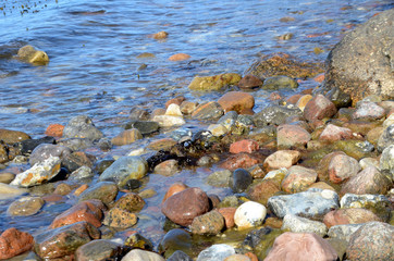 Small ripples reach a stony coast where seaweeds survive in th tidal line.