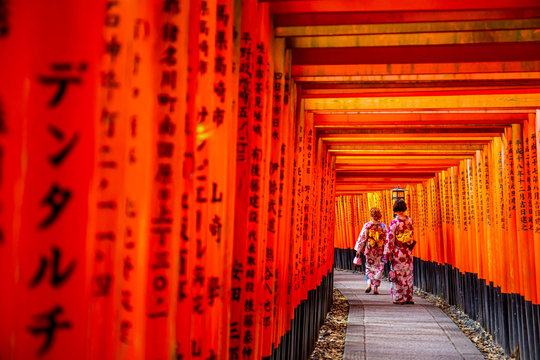 Red wooden torii Gate at Fushimi Inari Shrine in Kyoto, Japan. One of the popular site in Kyoto.