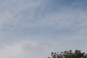 The phanorama of nature in our country