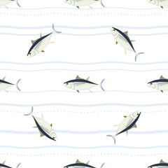 Tuna. Commercial Fish species. Colored Vector