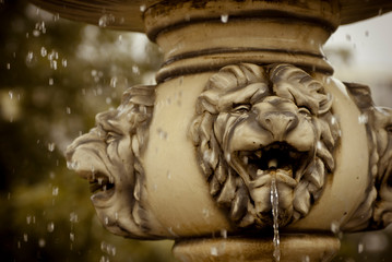 Close-up of a fountain with a lion