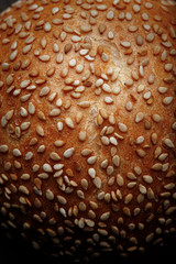 Pane ai 5 semi (dettaglio macro