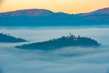 Fototapeta na wymiar fog over the firs in the mountains