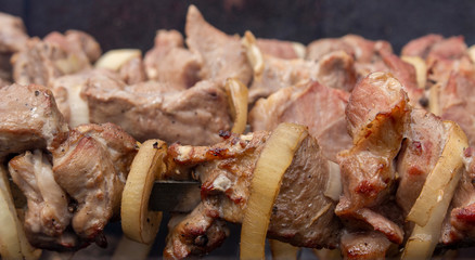 Meat slices with onion rings that are put on a skewer will slowly be fried in the grill. Recreation in the open air.