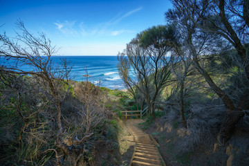 hiking the great ocean walk on wreck beach, victoria, australia