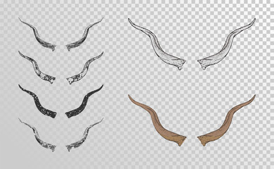 Vector set of hand drawn horns antelope with grunge elements in different versions on a transparent background. Monochrome and color variation.