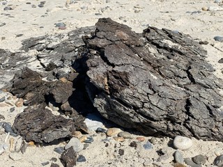 old wood on the beach