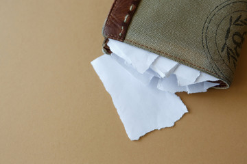 Empty wallet with pieces of paper on a plain background