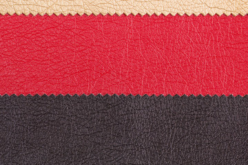 Fototapeta premium Leather for the manufacture of furniture and various products in the form of a frame and a place for inscription, text and font. Different skin samples. Materials for the leather industry. Flat Lay.