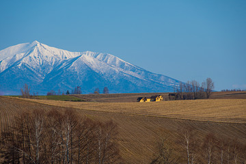 雪山風景