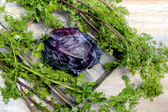 repolho roxo com coentro fresco.