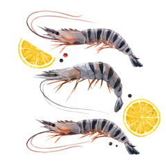 Beautiful stock illustration with watercolor hand drawn shrimps and lemon.