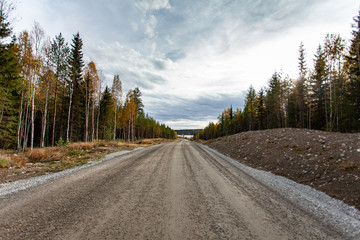 Naklejka premium Sweden road