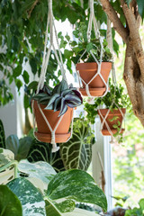 Makramee Blumenampel aus Baumwollschnur geknüpft - Urban Jungle Trend - Zimmerpflanzen Dekoration