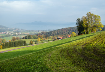 Fototapeta na wymiar Autumn countryside view with green winter crops on fields, groves end forest