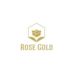 Fototapeta premium Luxurious Rose gold logo design vector illustration