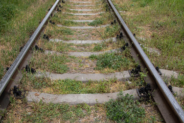 Obraz premium The old railway. Rails overgrown with grass.