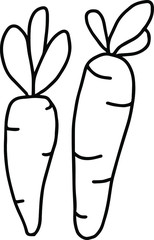 Close-up doodle two carrots .Vector illustration isolated on white background. Drawing for design. Coloring. eps10