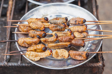 Edible palm weevil larvae , fried on fi